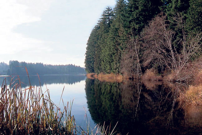 Millersylvania State Park is just 20 minutes from Yelm.