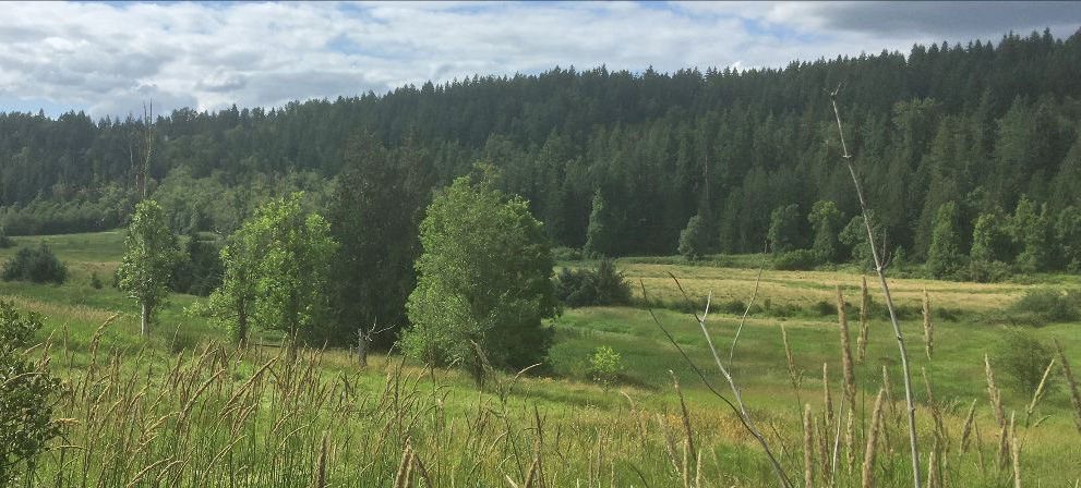 Land in the Ohop Valley secured by the Nisqually Land Trust is seen in this photograph from the land trust’s newsletter.