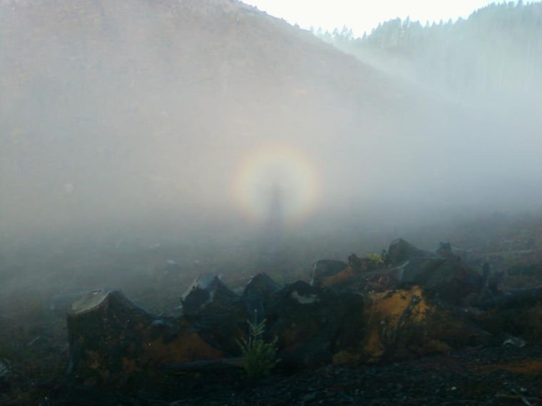 While hunting for elk in Oregon, Yakima Herald-Republic outdoors writer Scott Sandsberry first felt a weird sense of dread, then spotted this golden and rainbow colored orb, with what appears to be a human-like figure at its center.