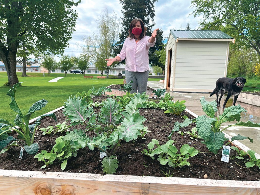 Heidi Smith, the secretary for Bounty for Families, points out some of the fresh greens being grown in the Yelm Community Garden.