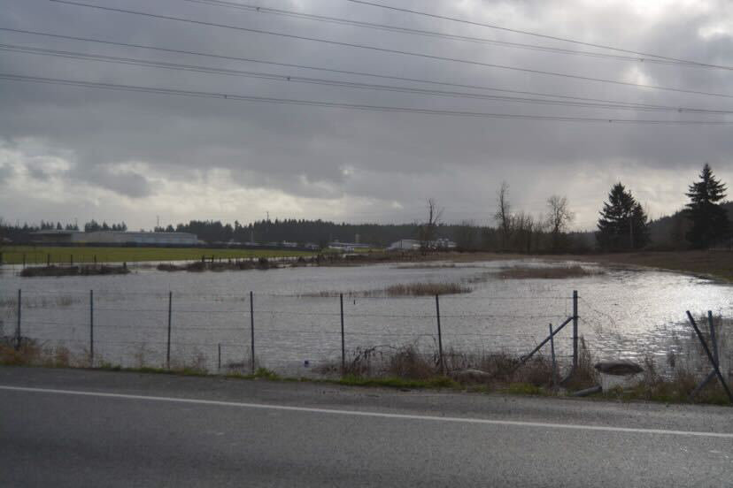 Rain in the Nisqually Valley caused minor flooding on Jan. 6 and Jan. 7