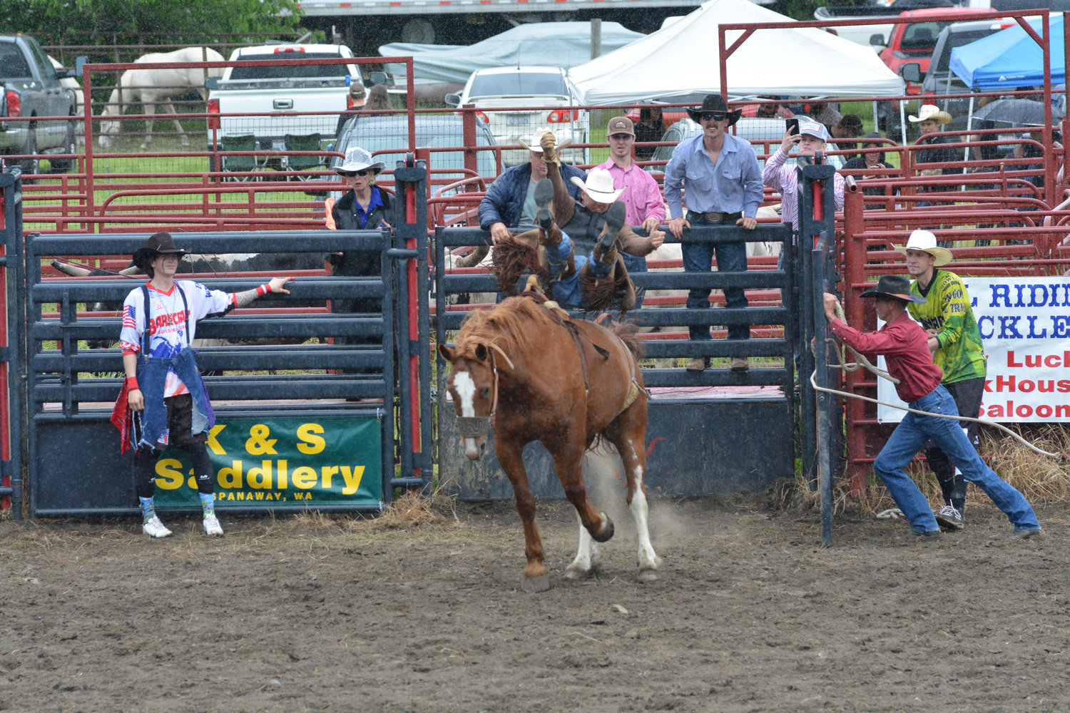 A cowboy is bucked off his horse at the Roy Pioneer Rodeo on June 4.