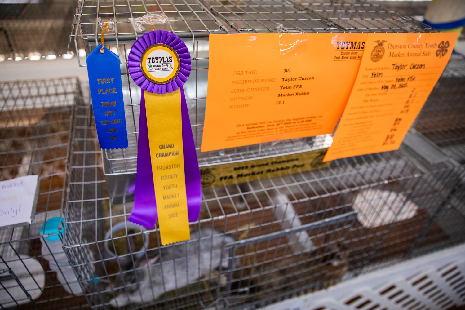 Taylor Curzon, of Yelm, displays First Place and Grand Champion ribbons for rabbits in the Thurston County Youth Market Animal Sale Thursday, July 28 in Lacey.