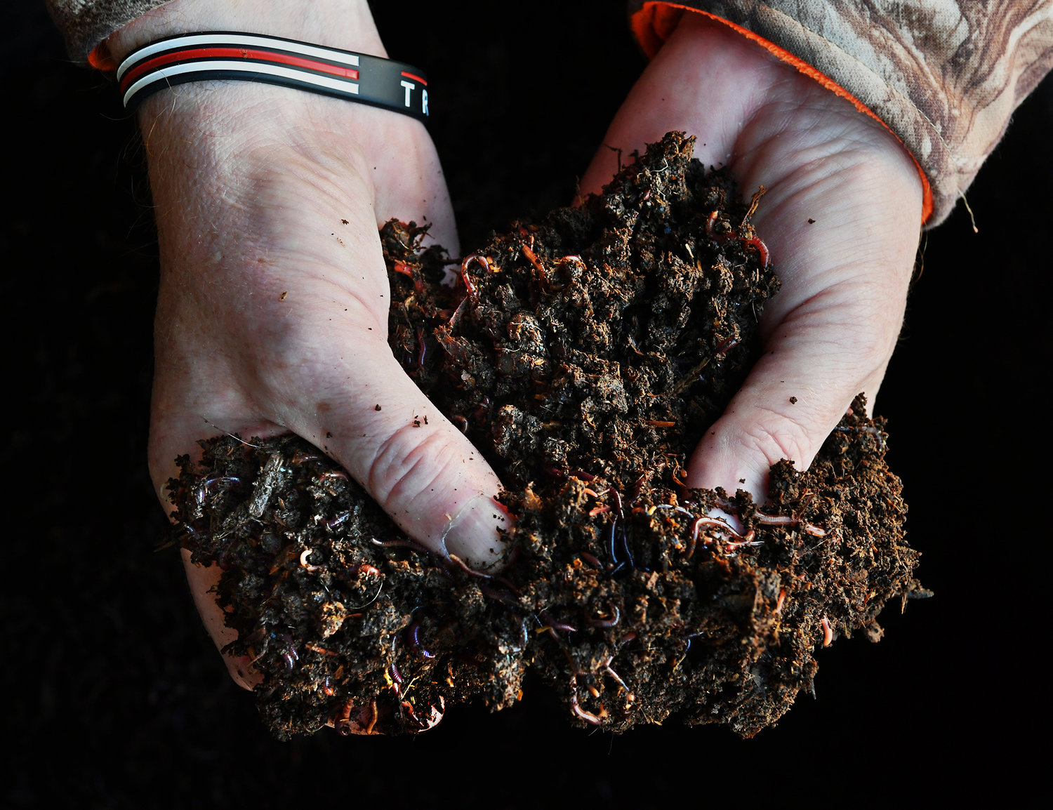 Kelan Moynagh, owner of Yelm Earthworm and Castings Farm, displays a mound of red wiggler earthworms in this file photo.