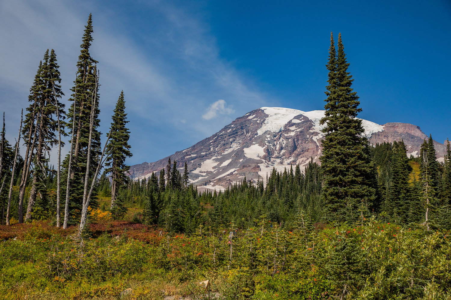 Mount Rainier towers over the horizon from Paradise on earlier this month.