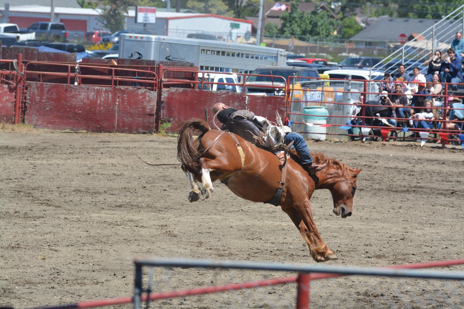 A cowboy holds on as his horse bucks on Sunday, June 4.