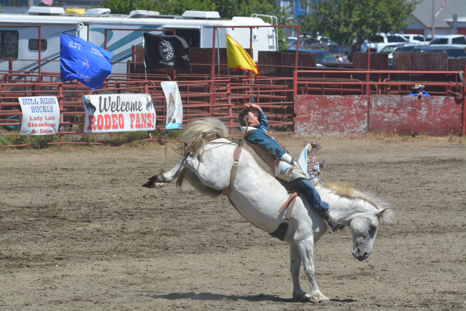 A cowboy holds on as his bronc bucks on June 4.