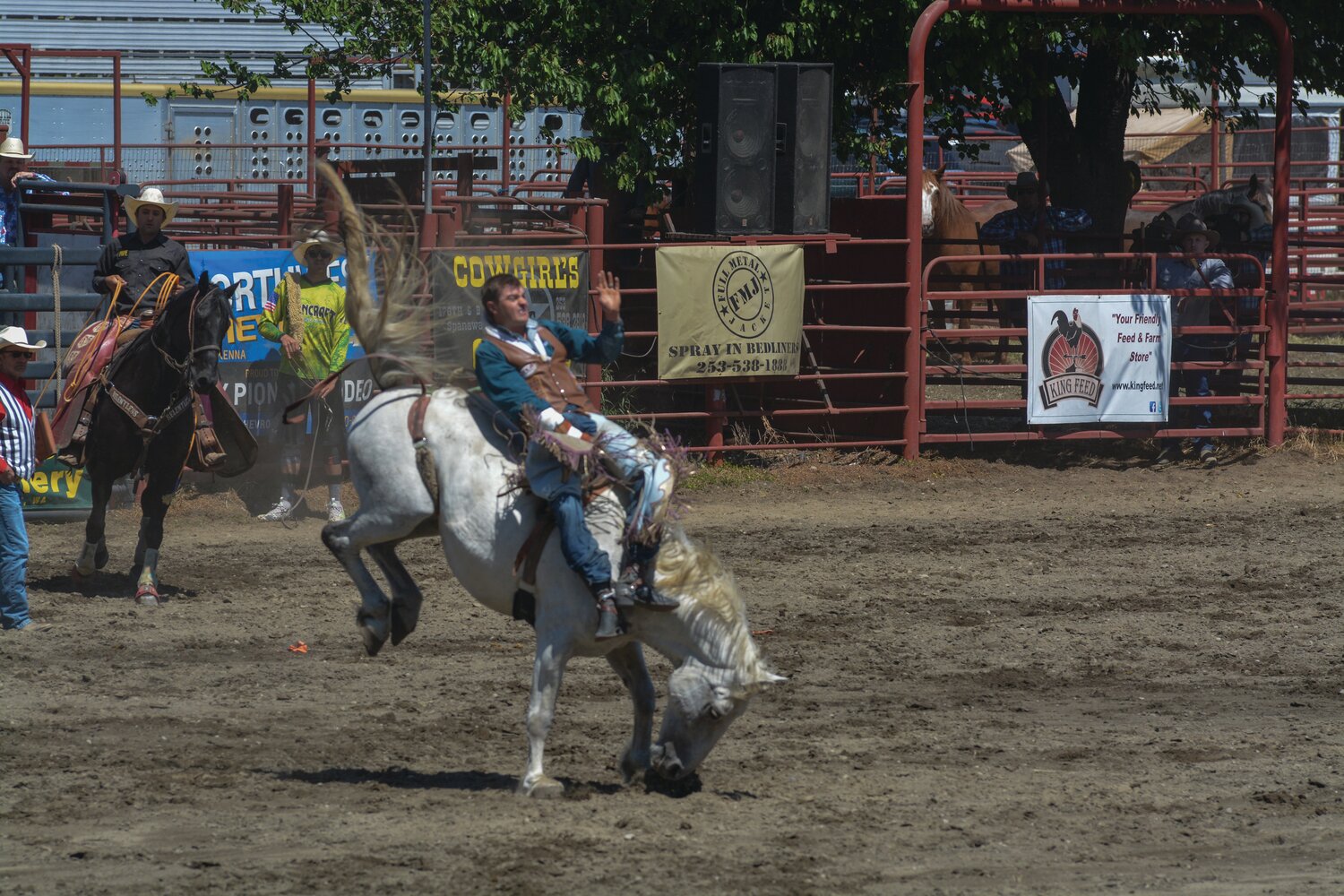 A cowboy holds on as his bronc attempts to buck him off at the Roy Pioneer Rodeo on Sunday, June 4.