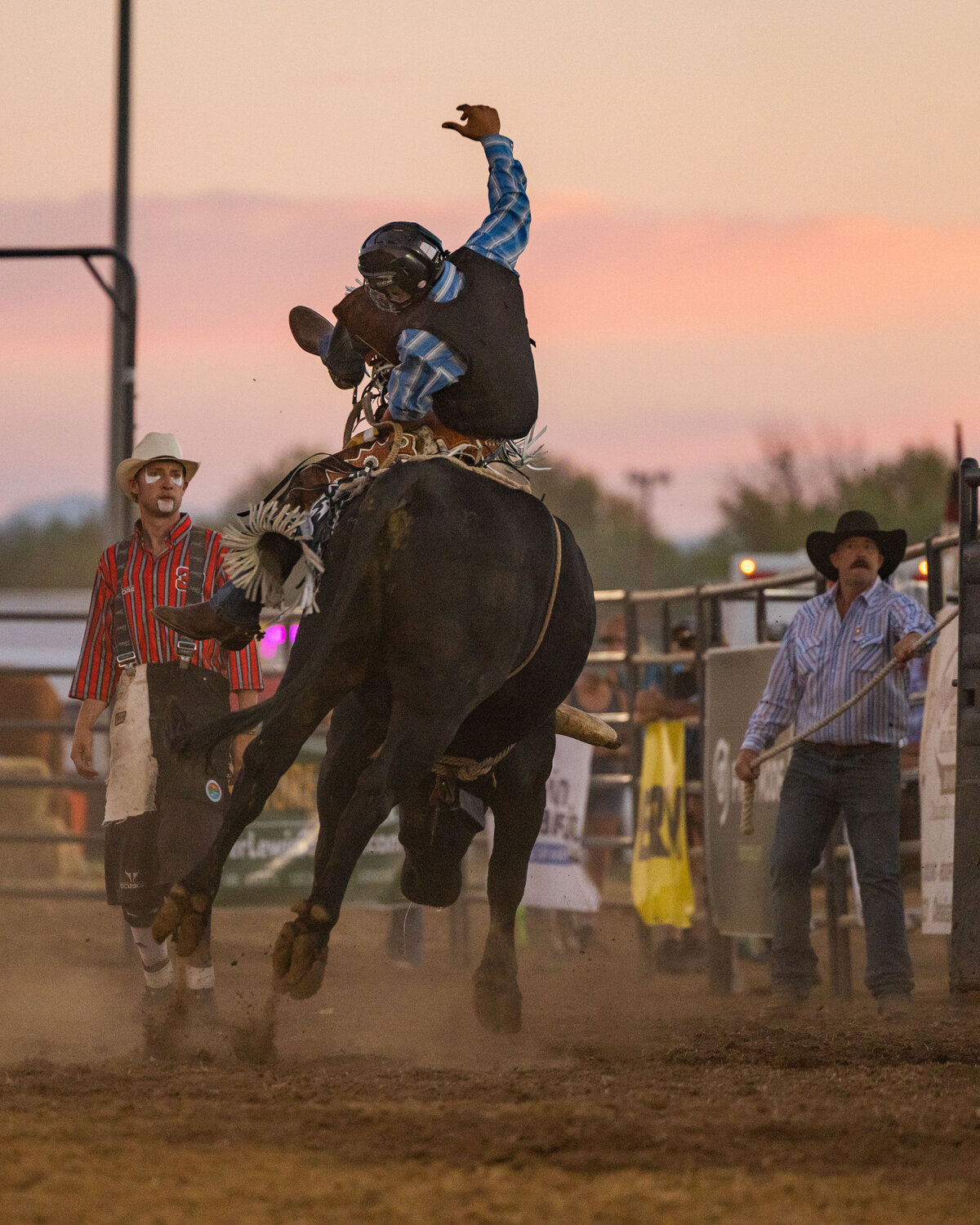 Benjamin Viveros, of Yelm, is bucked off of “Flatliner” on night one of the Southwest Washington Fair Rodeo on Wednesday, Aug. 16.