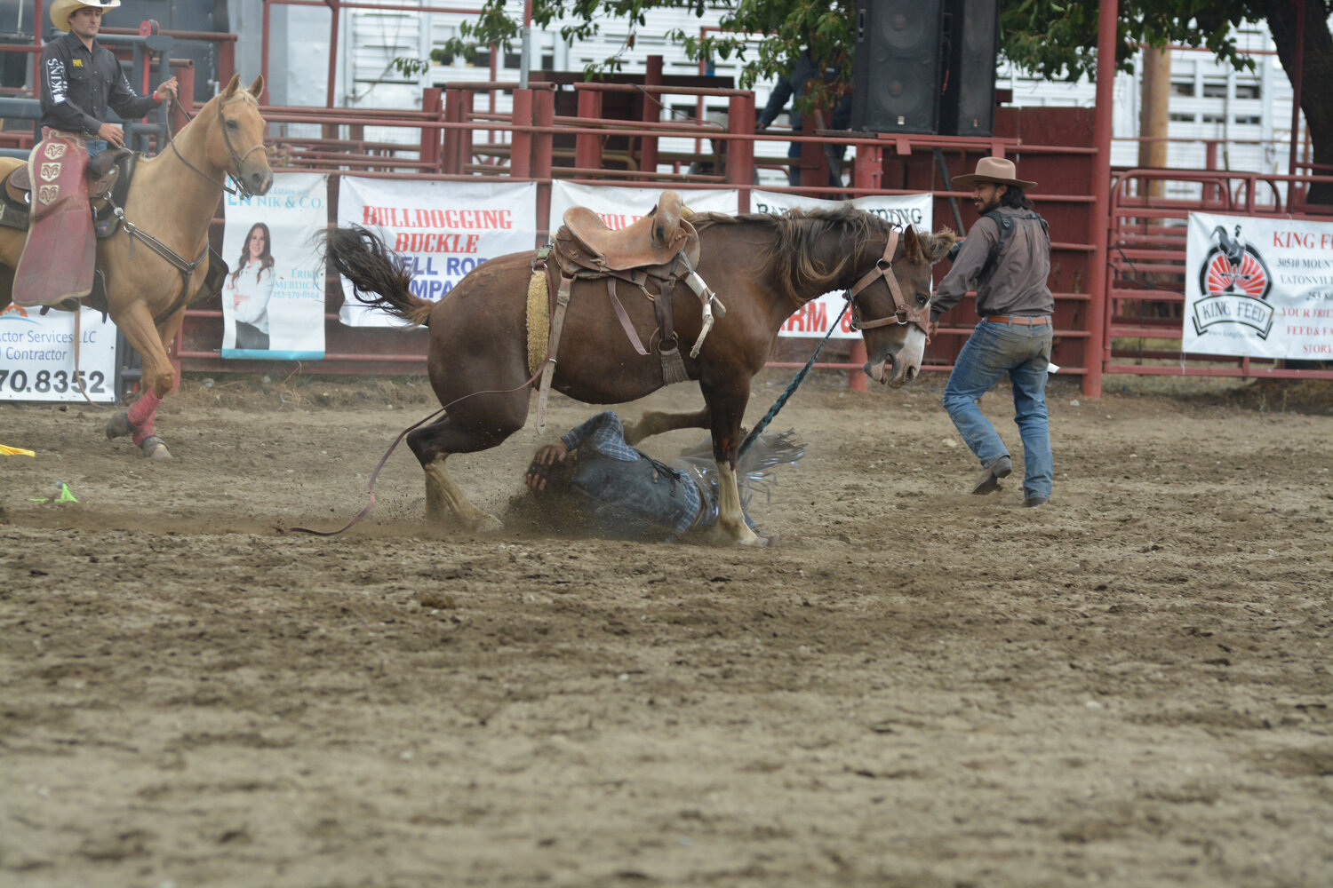 A cowboy ducks for cover after he was bucked off his horse and nearly trampled.