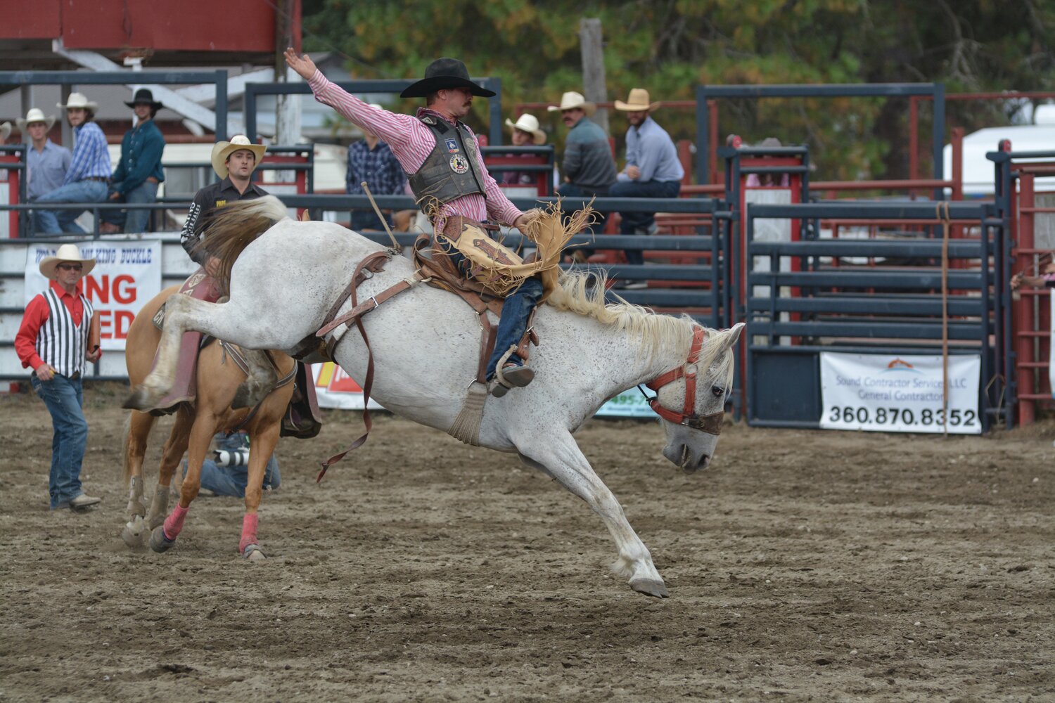 A cowboy hangs on as his bronc bucks at the Roy Rodeo on Sept. 3.