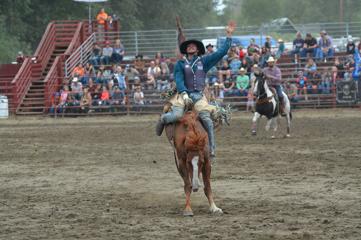 A cowboy holds on as his bronc bucks at the Roy Rodeo on Sept. 3.