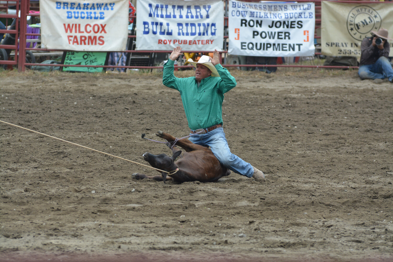A cowboy throws his hands in the air to signal that he completed the tie-down roping competition.