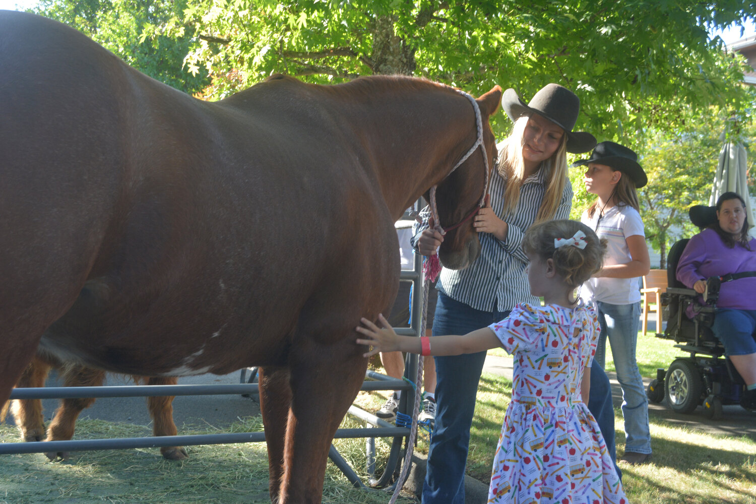 A little girl pets a horse at the Rosemont Round-Up at Prestige Senior Living Rosemont on Sept. 8.