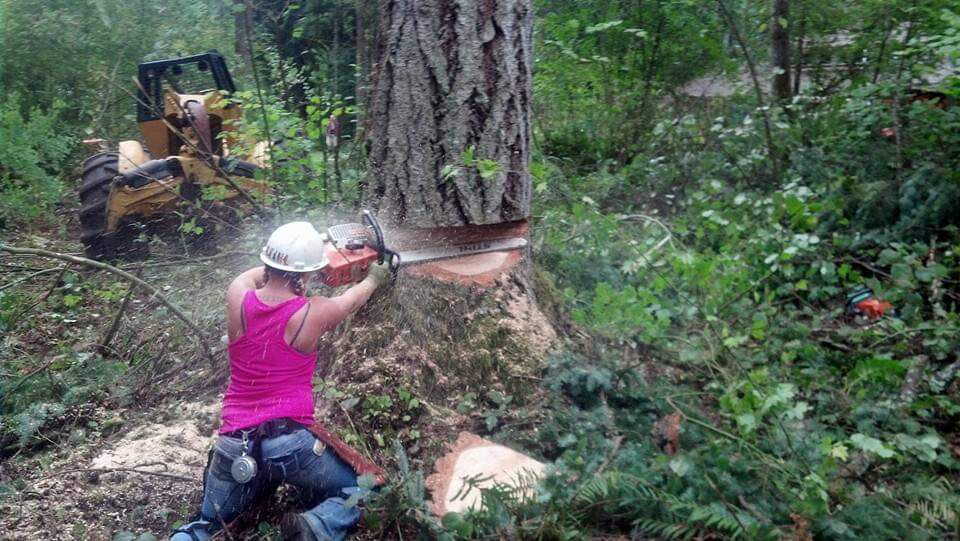 Beth Stock goes to work on a tree with a chainsaw in this courtesy photo.